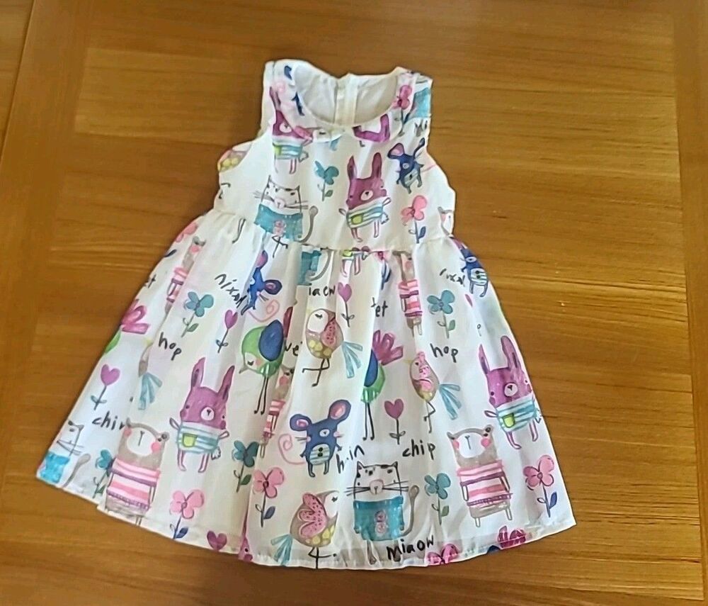 Girls Dress Used READ DESCRIPTION